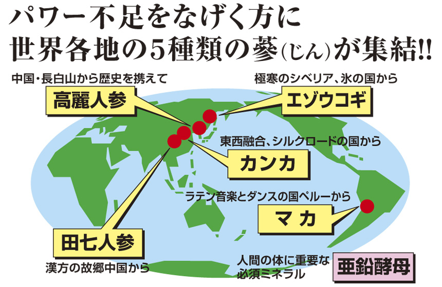 パワー不足をなげく方に、世界各地の5種類の蔘（じん）が集結！！