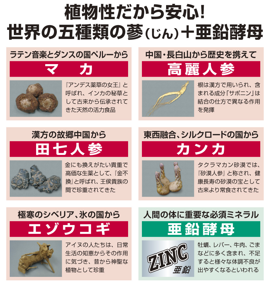 植物性だから安心！マカ、高麗人参、田七人参、カンカ、エゾウコギ、亜鉛酵母