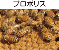プロポリス