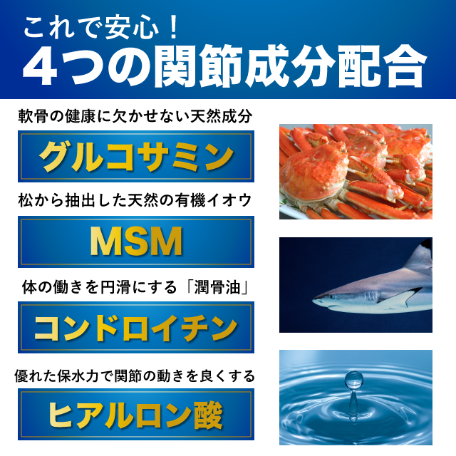 MSM＆グルコサミン