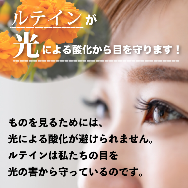 ルテインのチカラ