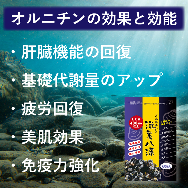 オルニチンと滋養八撰