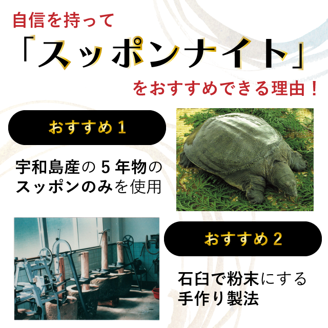 スッポンナイト