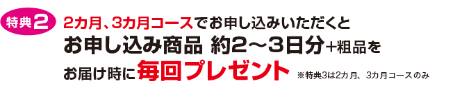 特典3・携帯ケースプレゼント